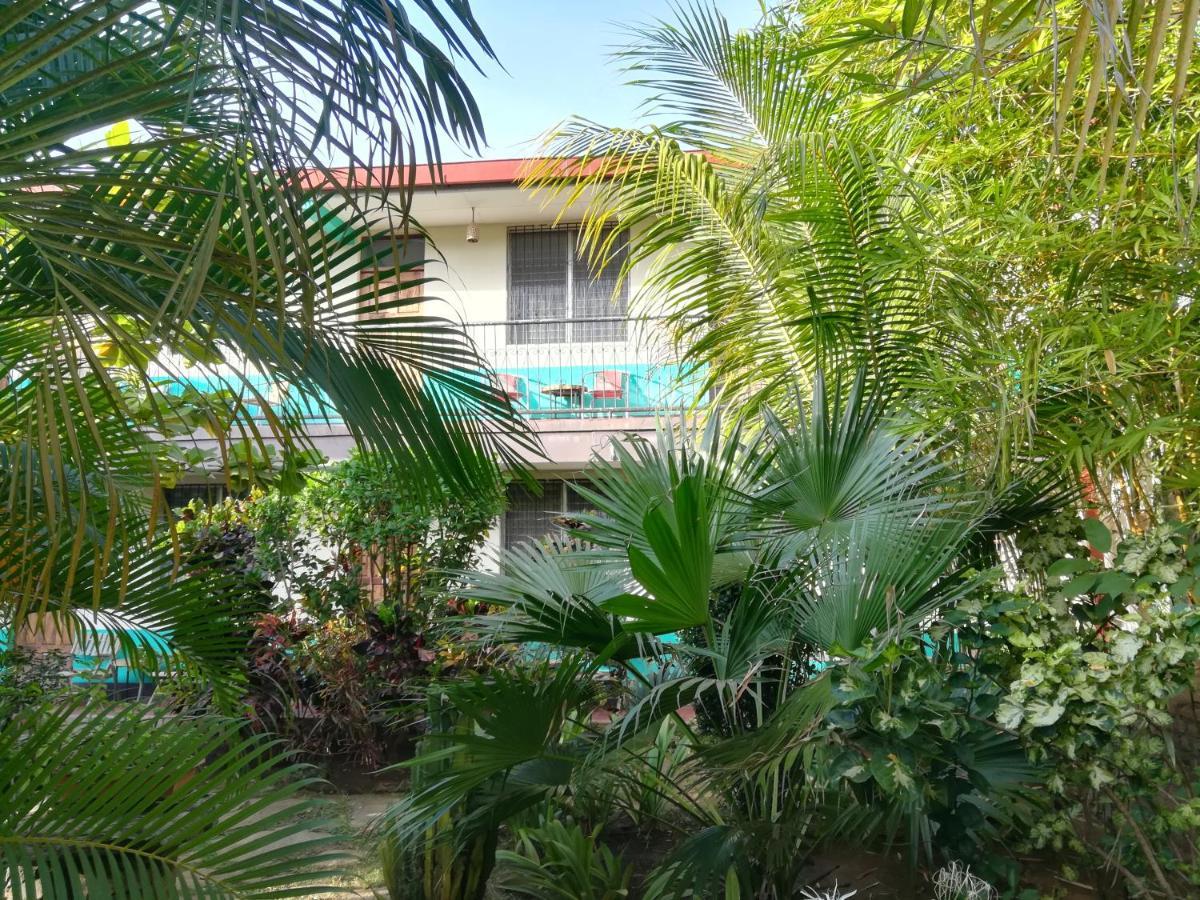 Hostal Harvest House León Dış mekan fotoğraf