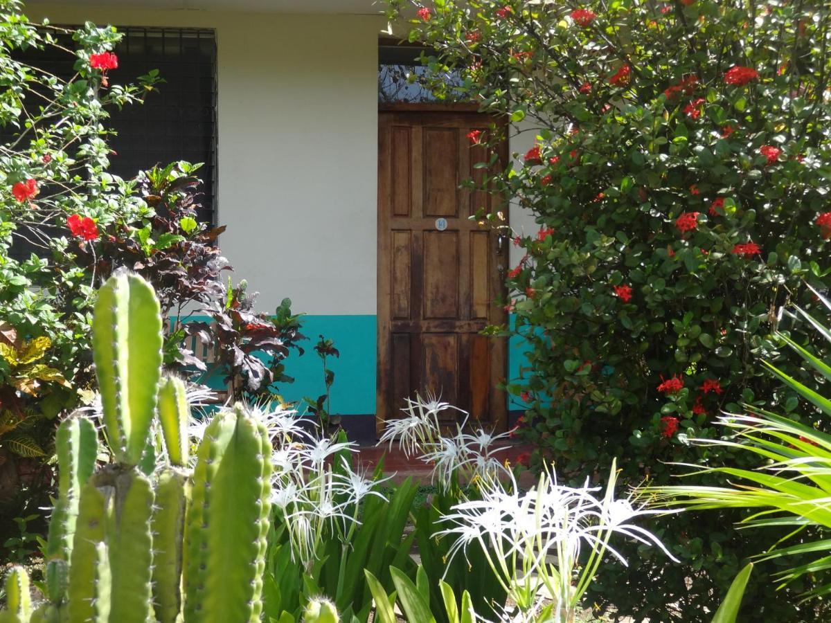 Hostal Harvest House León Dış mekan fotoğraf