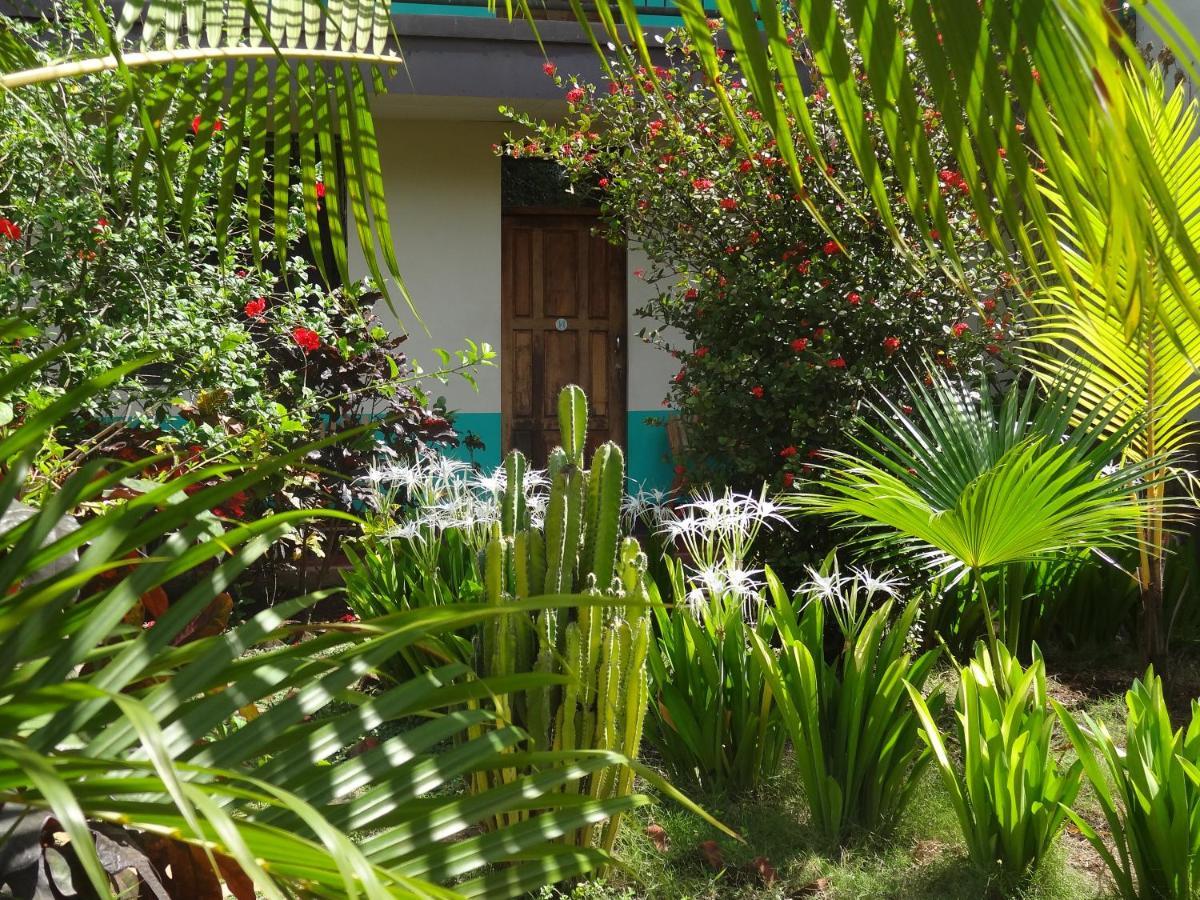 Hostal Harvest House León Dış mekan fotoğraf