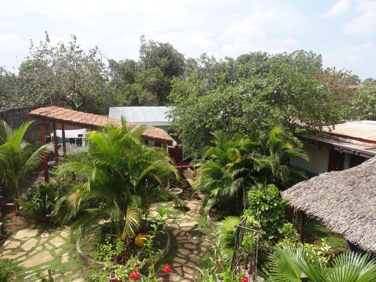 Hostal Harvest House León Dış mekan fotoğraf